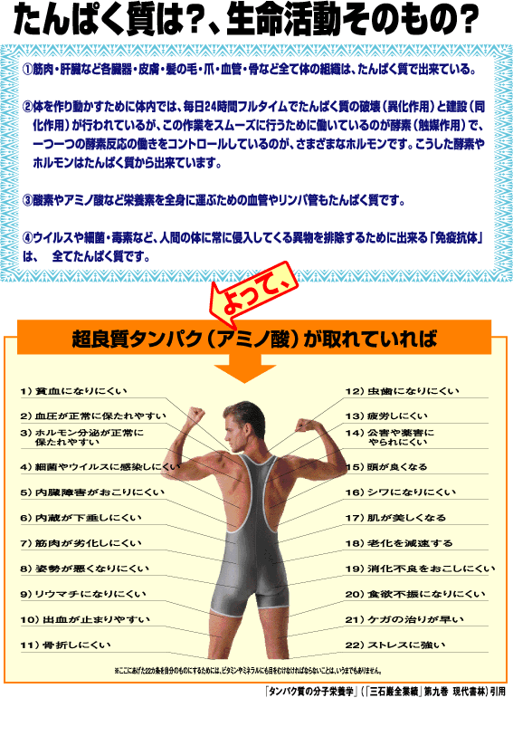 ｱﾐﾉﾘｱﾙ説明3