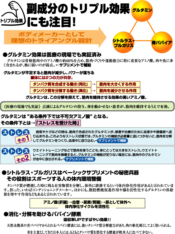 ｱﾐﾉﾘｱﾙ説明4